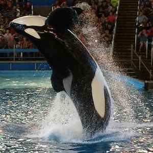 Meet your Posher, Ana isabel